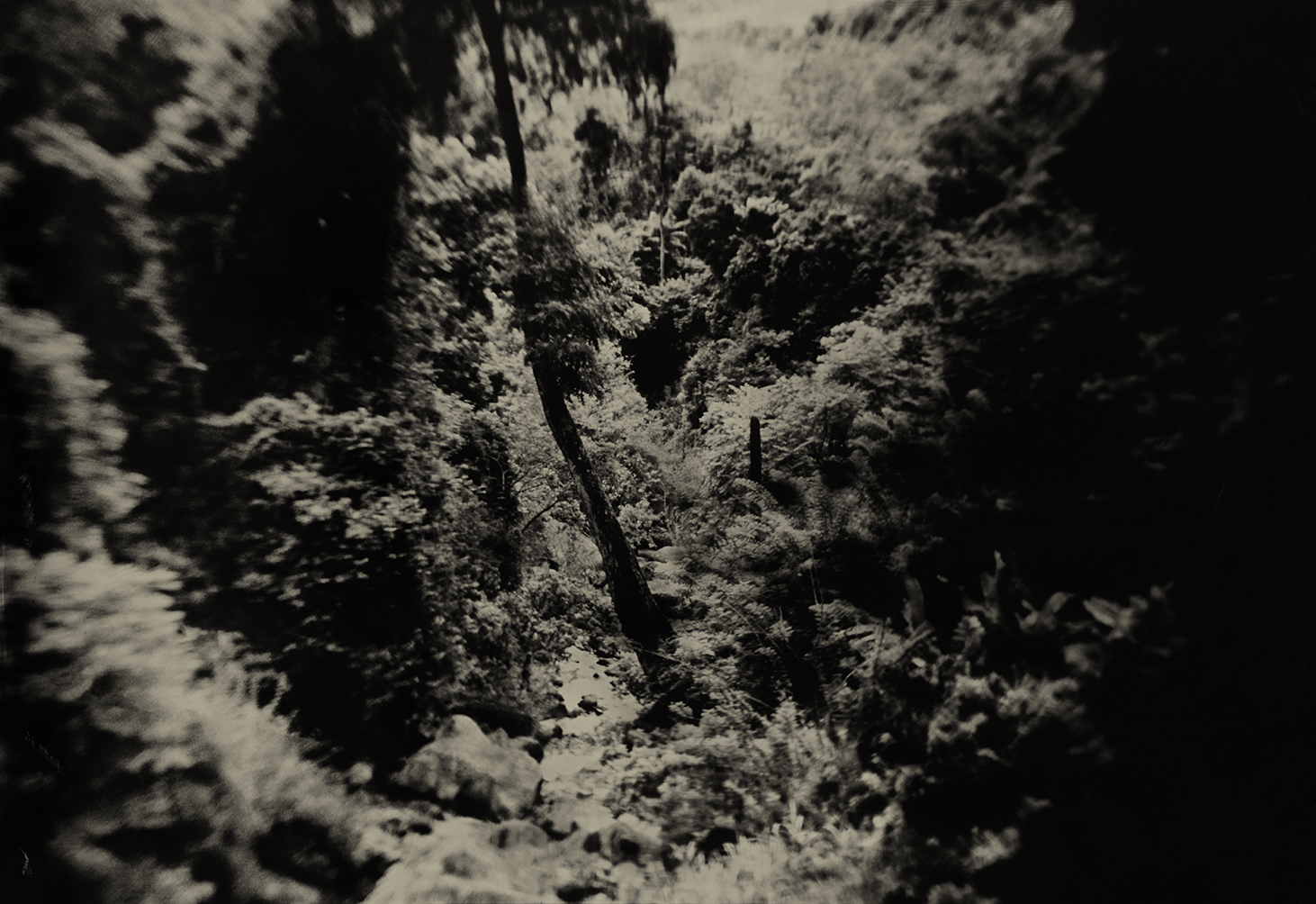 6º 43' 59.318" N 81º 1' 53.101" E